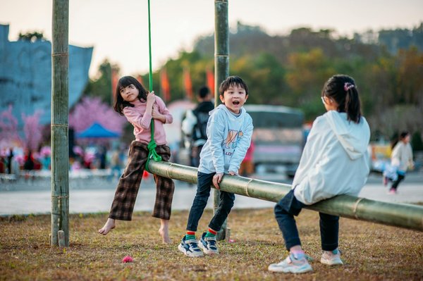 Harmonies et Frictions : l'Art de la Traduction des Romans