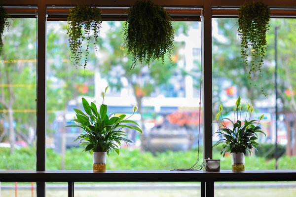 Les meilleures écoles de formation en pathologie générale en France : Votre guide complet