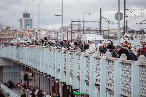 Fusion innovante : Intégration des panneaux solaires dans l'architecture moderne